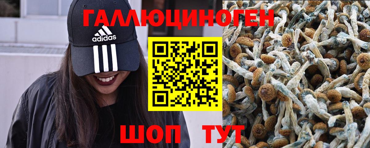 Alpha-PVP СК кристаллы  MDMA  Вход с VPN  COCAIN  Меф МЯУ МЯУ   Волжский  Гашиш  Конопля 