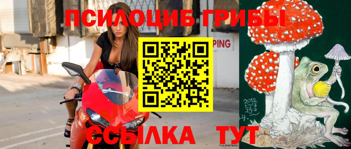 Галлюциногенные грибы MAGIC MUSHROOMS  купить   Волжский  Вход с VPN 